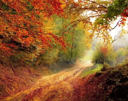 Herbstferien 2023