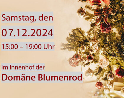 Weihnachtsmarkt am 7.12. in der Domäne Blumenrod - wir sind dabei!🎅🎄⭐️