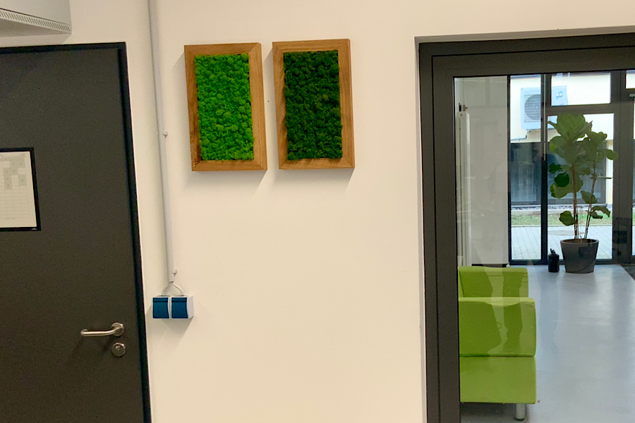 IMG_2025-02-27-155551 IMG_2025-02-27-155551