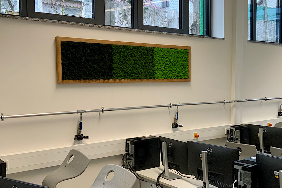 IMG_2025-02-27-155604 IMG_2025-02-27-155604