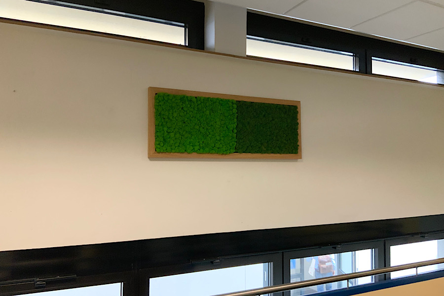 IMG_2025-02-27-155617 IMG_2025-02-27-155617