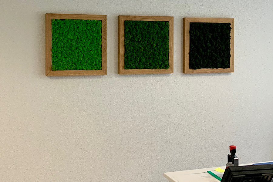 IMG_2025-02-27-155631 IMG_2025-02-27-155631