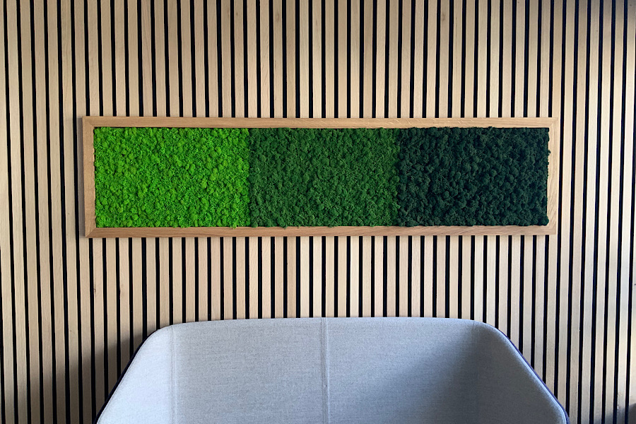 IMG_2025-03-02-142504 IMG_2025-03-02-142504