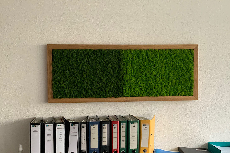 IMG_2025-03-05-034337 IMG_2025-03-05-034337